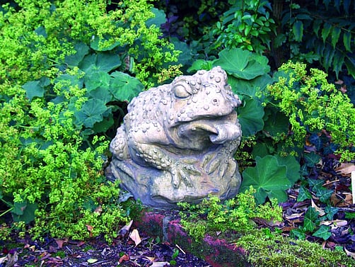 Horny Toad Statue