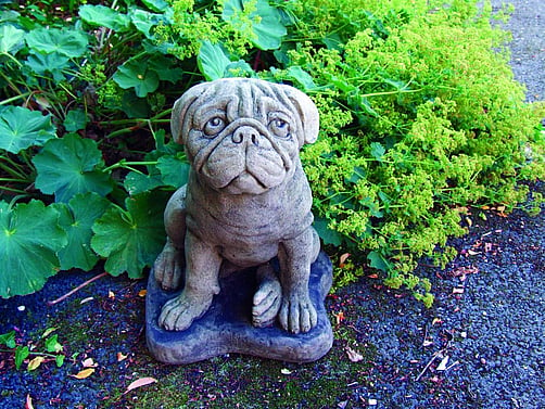 Large Pug Garden Statue
