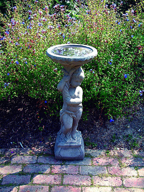 Urchin Stone Birdbath