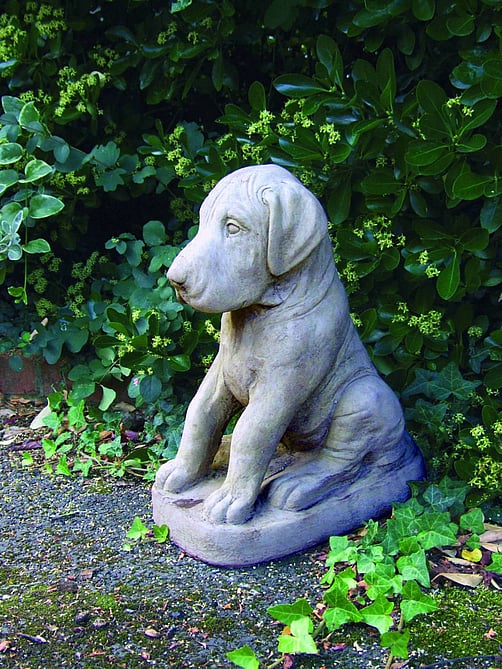 Great Dane Puppy Garden Statue
