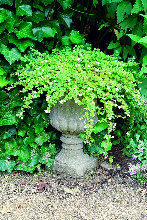 Vienna Classic Stone Garden Vase