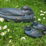 Duck and Ducklings Bronzed Garden Ornaments