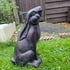 Pondering Hare Bronzed Garden Statue