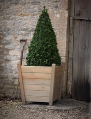 Churchill Small Spruce Garden Planter