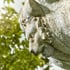 Lioness Stone Water Feature Basin Detail