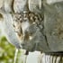 Lioness Stone Water Feature Lion Detail