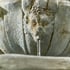 Lioness Stone Garden Fountain Detail