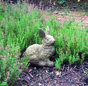 Cottontail Rabbit Statue