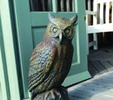 Horned Owl Statue
