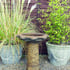 Vine Stone Birdbath in Umber