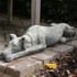 Resting Whippet in Stone Statue