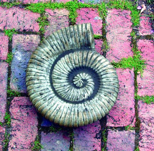 Large Stone Ammonite Garden Statue
