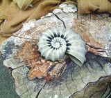 Ammonite Garden Statue