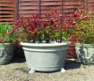 Grand Stone Garden Flower Pot