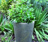 Grand Long Tom Stone Garden Pot