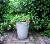 Large Long Tom Stone Garden Pot