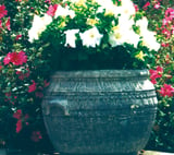 Roman Stone Garden Urn