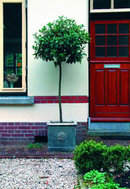 Tudor Rose Stone Garden Urn