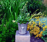 Vienna Imp Stone Garden Vase