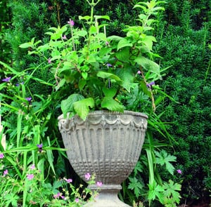 Vienna Leaf Stone Garden Vase