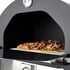 Radiant Pizza Oven Doors