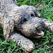 Playful Cockapoo Garden Statue in Bronze