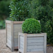 Cornwell Large Spruce Planter Set