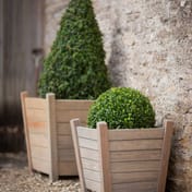 Churchill Large Spruce Planter Set