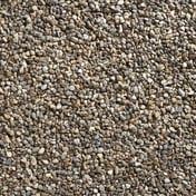 Oyster Pearl Decorative Pebbles Stones