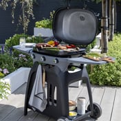 Norfolk Grills N Grill Gas BBQ