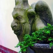 Notre Dame Gargoyle Garden Statue in Umber