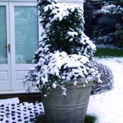 Giant Stone Flower Pot