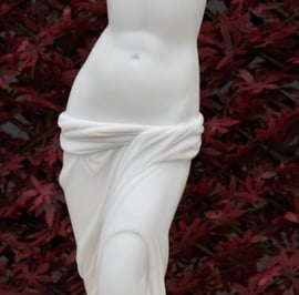 Venus De Milo Garden Ornament in White