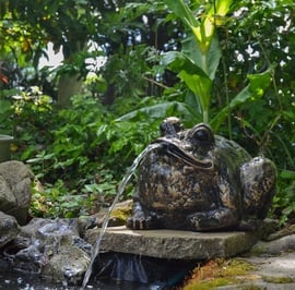 Bull Frog Fountain Metal Garden Ornament