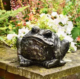 Bull Frog Metal Garden Ornament