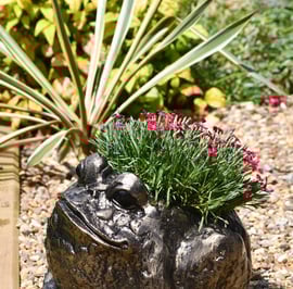 Bullfrog Garden Planter Metal Garden Ornament
