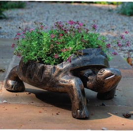 Small Tortoise Metal Garden Planter 