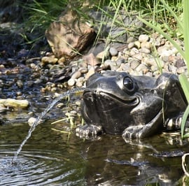 Toad Fountain Metal Garden Ornament