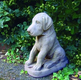 Great Dane Puppy Garden Statue