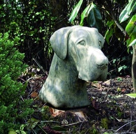 Great Dane Stone Head
