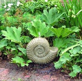 Grand Ammonite Stone Fountain