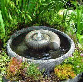 Large Ammonite Stone Fountain