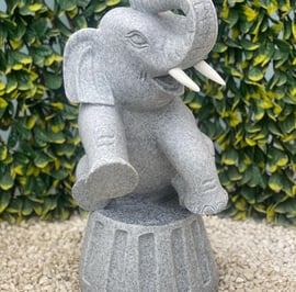 Sitting Elephant Garden Statue in Grey