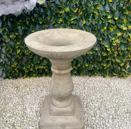 Edwardian Birdbath in Stone
