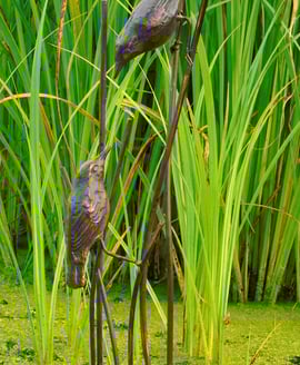 Birds on Reeds Metal Garden Ornament
