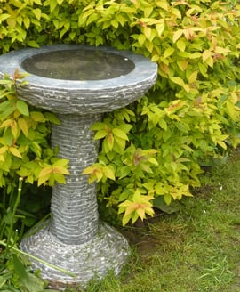 Cascade Black Limestone Bird Bath