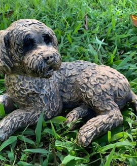 Lying Cockapoo Garden Ornament in Bronze Finish