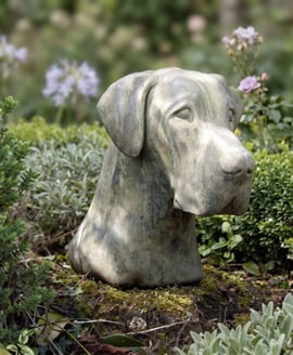 Great Dane Stone Head