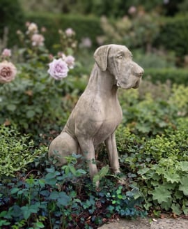 Male Great Dane Statue