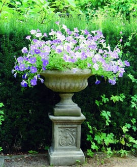 Emblem Stone Garden Pedestal